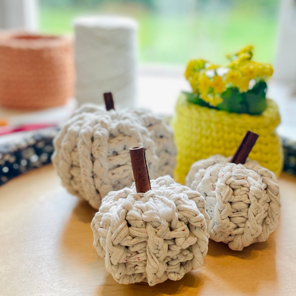 Spicy Pumpkin Workshop: Crochet with T-shirt Yarn