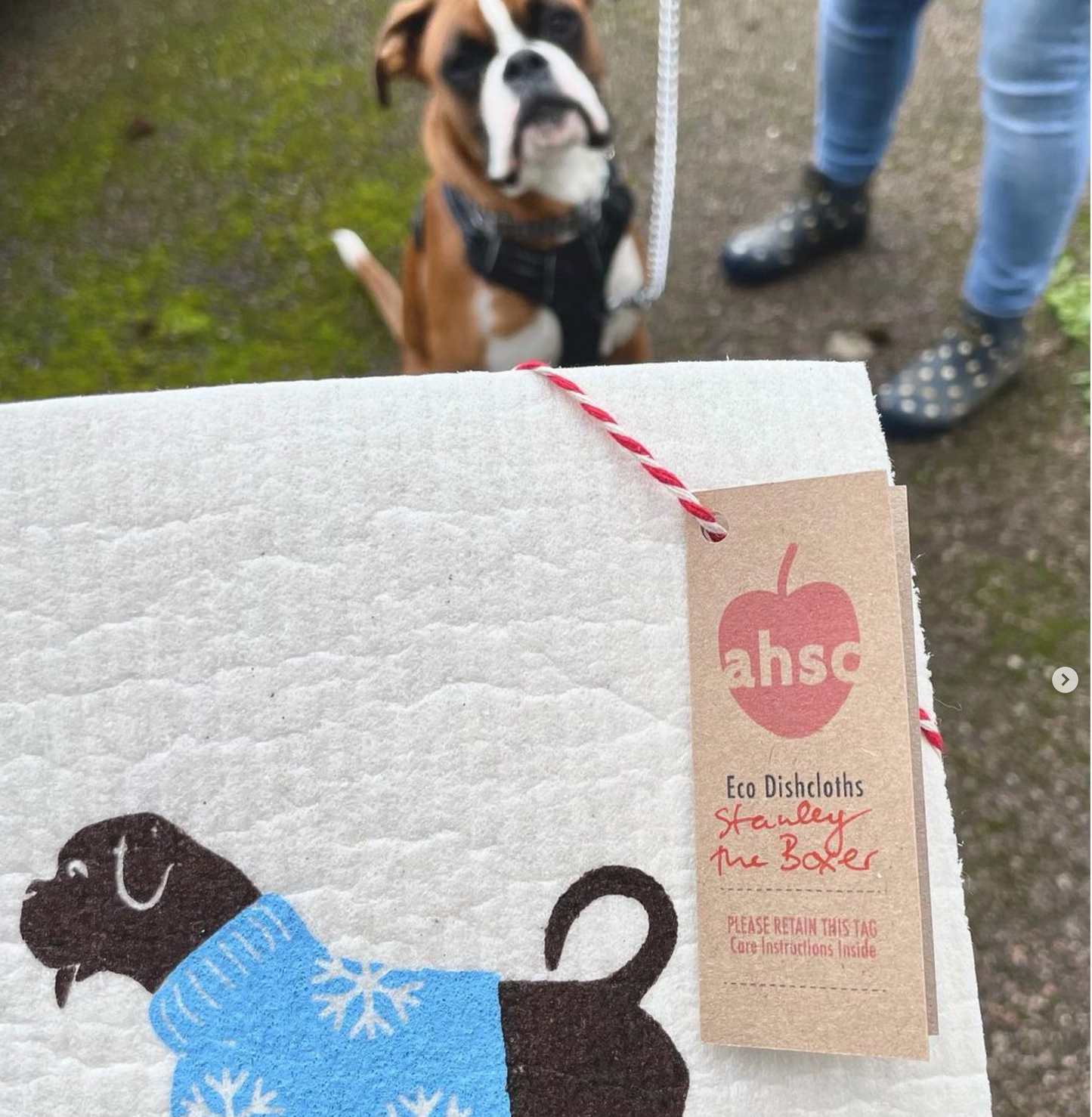 Stanley the Boxer - Dog Printed Eco Cloth